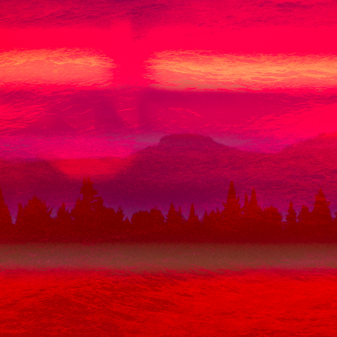 Berkowitz_04_Policy_Matters Tiny Seed Literary Journal